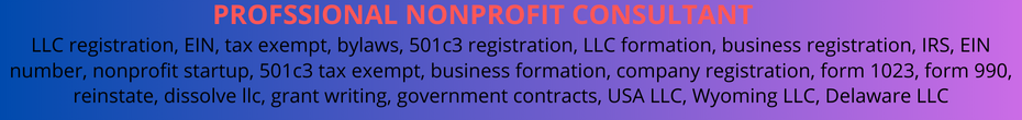 PROFSSIONAL NONPROFIT CONSULTANT